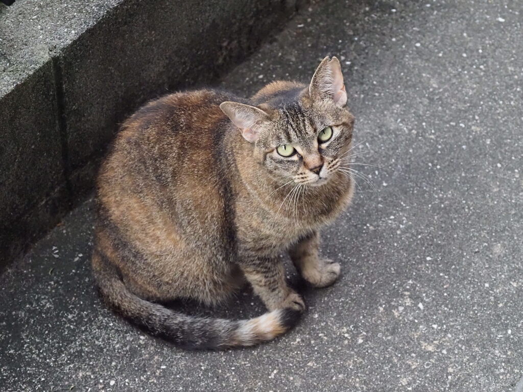 「7月、最後の朝」♪