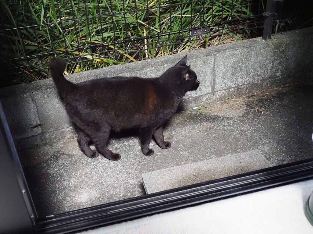 丑三つ時（眠れぬ夜に）♪