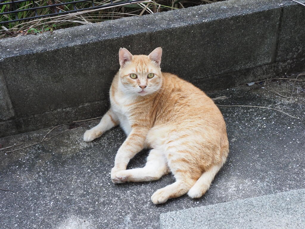 うまく出来てる♪