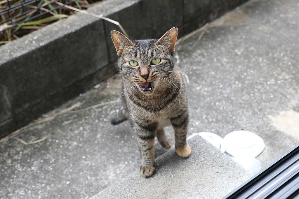 おかわり♪