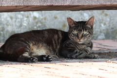 シーサイドカフェ♪