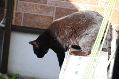 降りるぞ♪