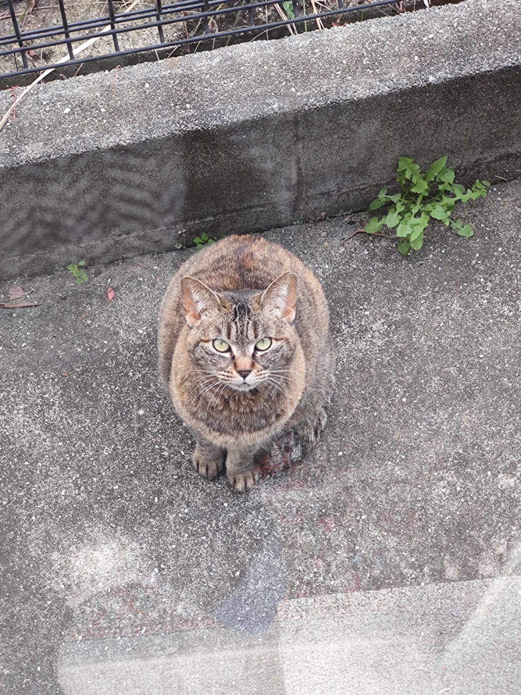 「昼下がり」♪