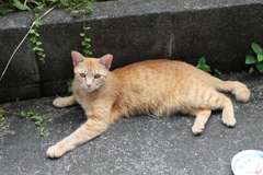 壁に、くっつく♪