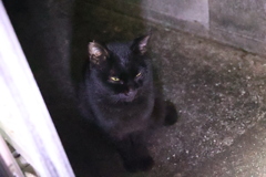 もう来ている♪