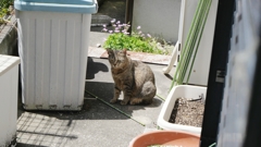 出て来た、出て来た