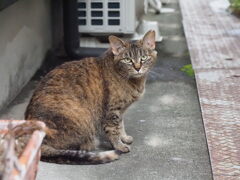 「ゴミ出し」♪