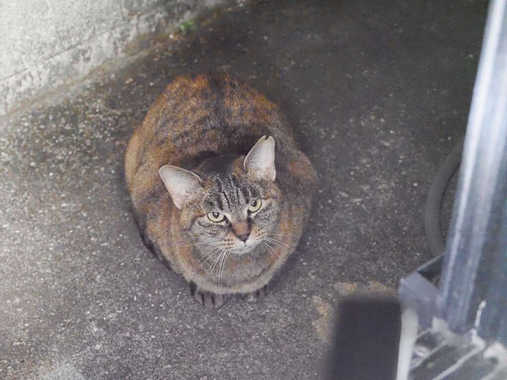 「縮こまる」♪