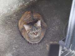 「縮こまる」♪