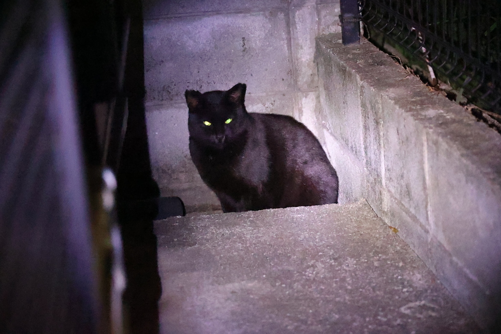 リベンジ消費♪