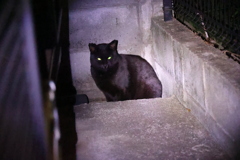 リベンジ消費♪