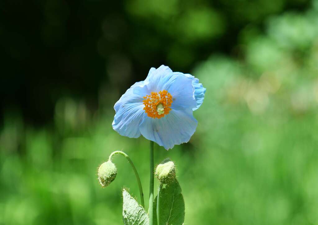 今年のBlue♪