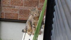 お気に入りの場所