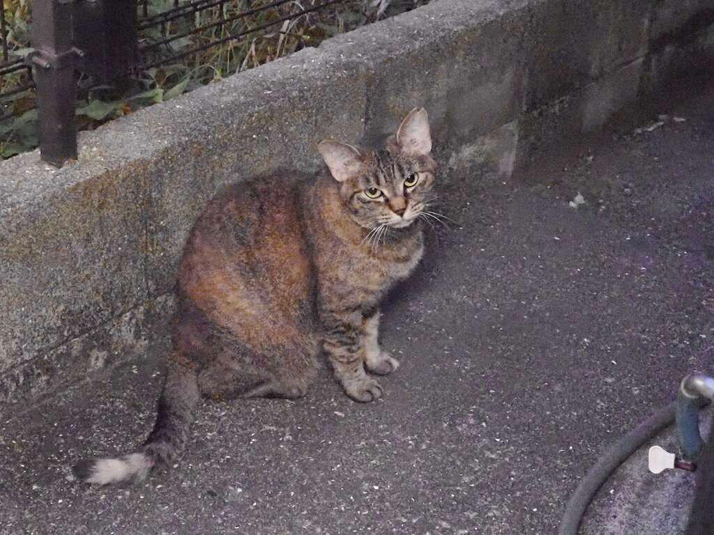 「まだ暗い」♪