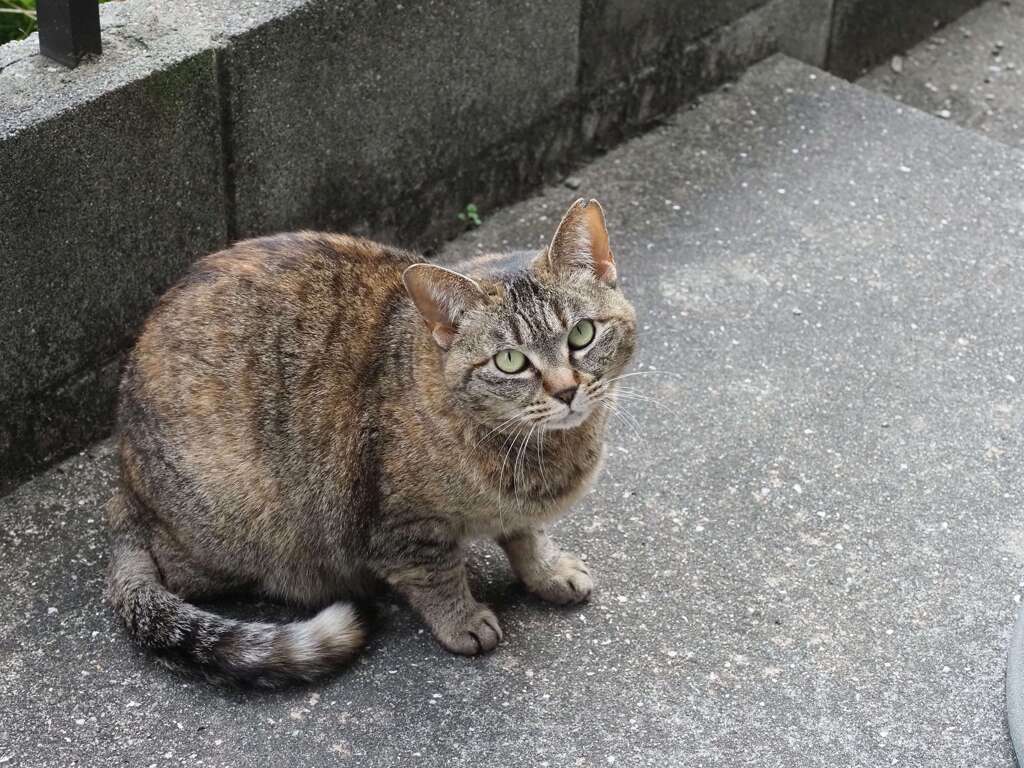 「また来たよ」♪