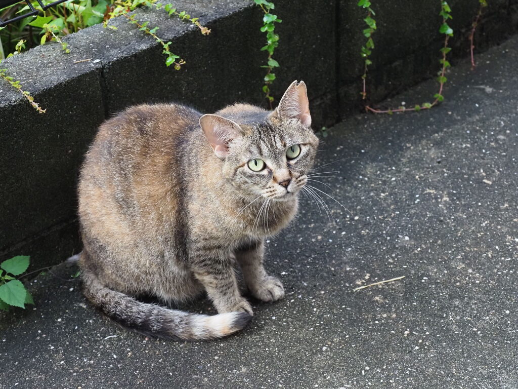 「３日ぶり」♪