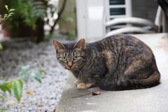 いい顔してるね（金曜の朝）♪