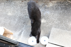 掻き出す♪