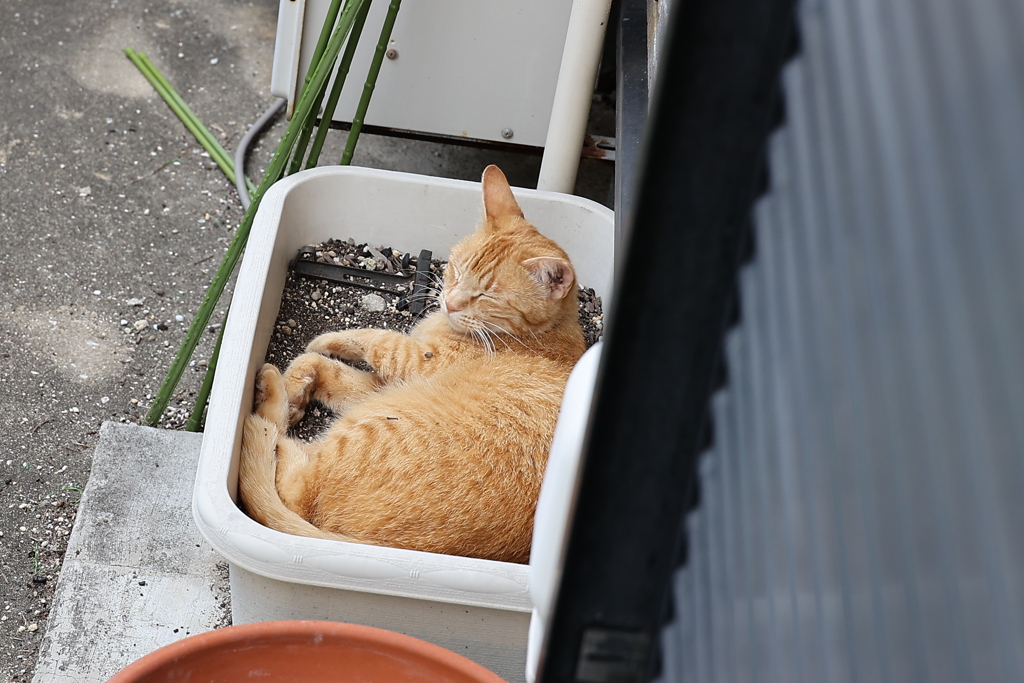 お気に入りの場所♪