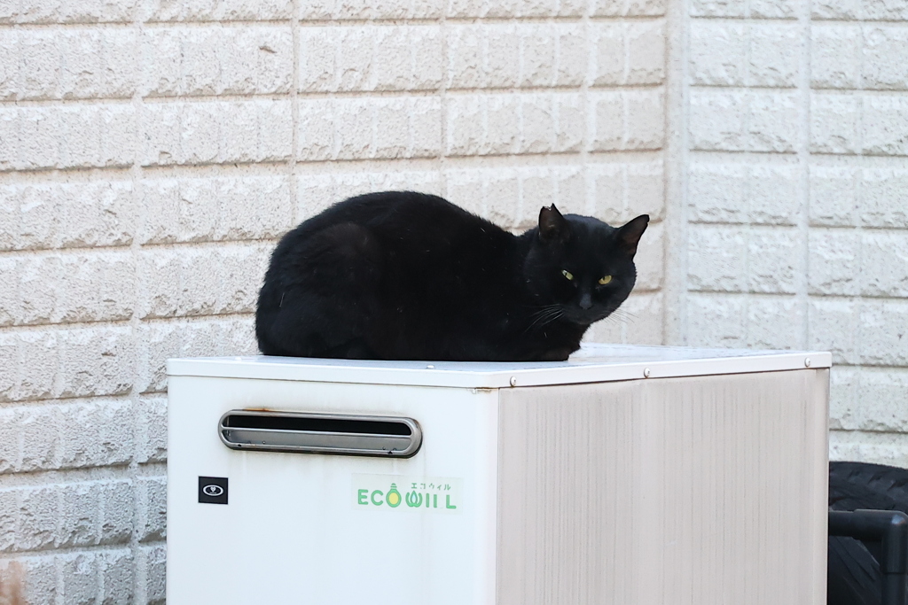 そこに居たか♪