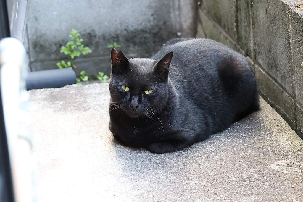 待ちくたびれた♪