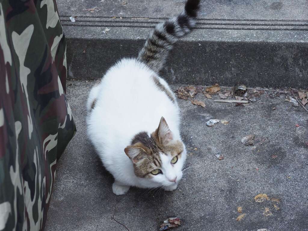 まだいるよ♪