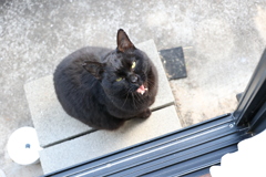 あくび前♪