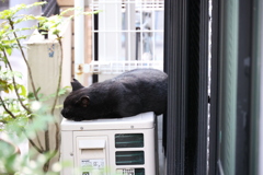 食後の居場所♪