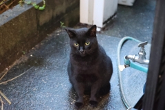 雨でも平気だ♪