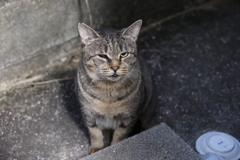 目の前に居た♪