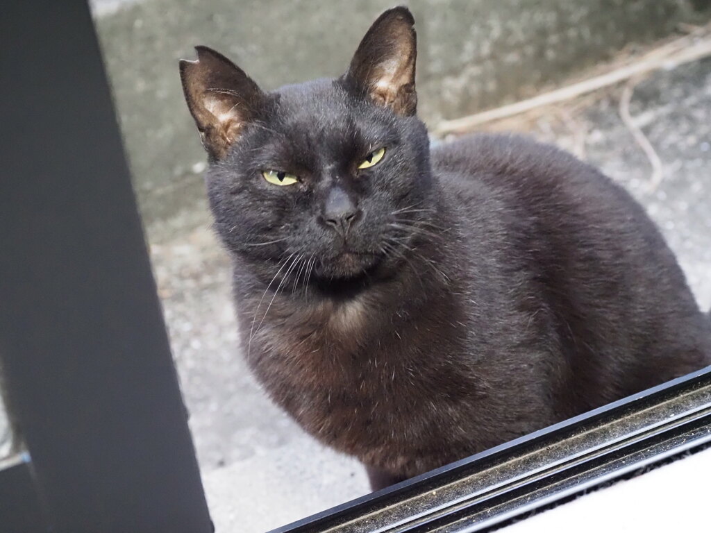 今日も元気です♪