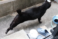 朝伸び～っ♪