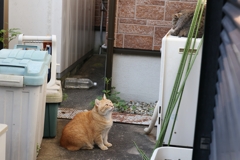 睨み合い♪