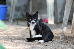 公園の外れで（続編）♪