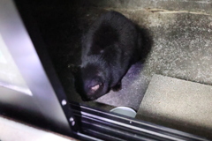 蠢く物♪