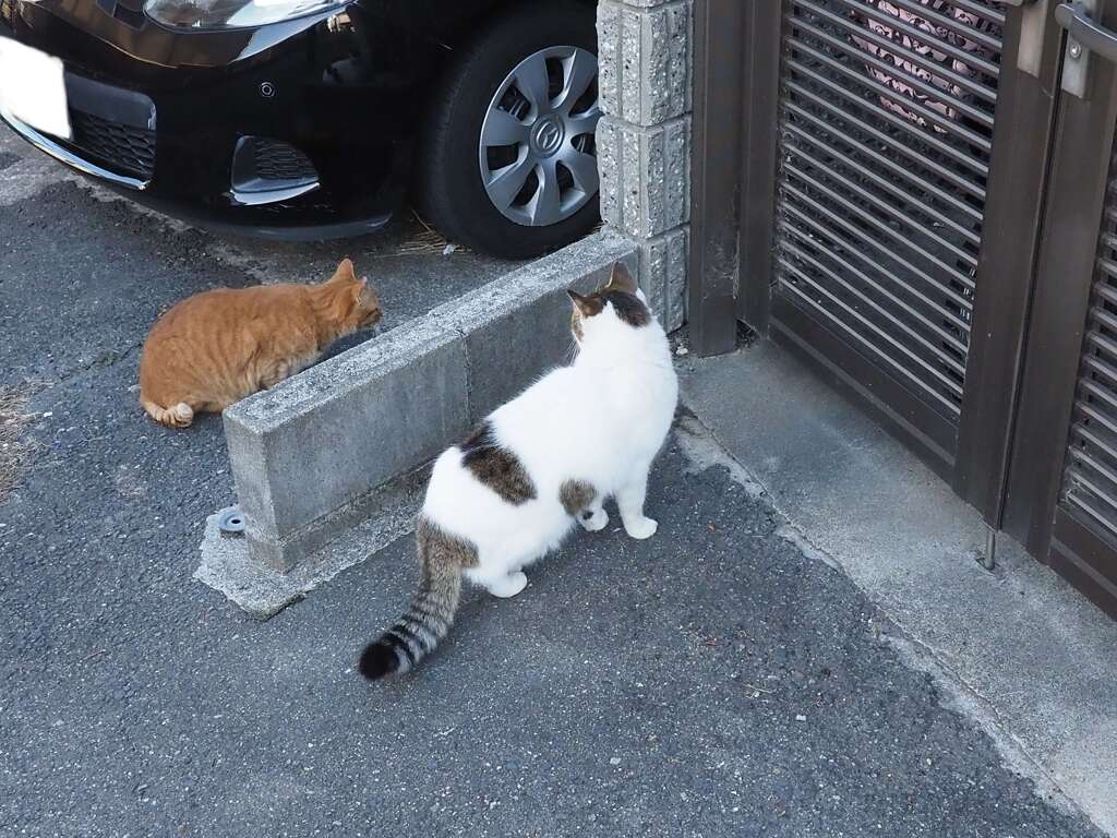 足元に来たっ♪