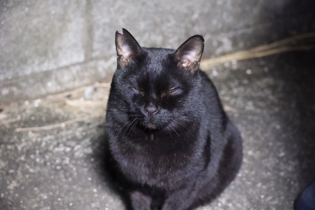 夕食をお待ち♪