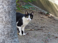 「ひょっこり」♪