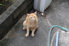 近づいて来た♪