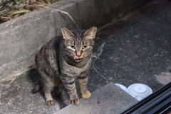 ごちそうさまっ♪