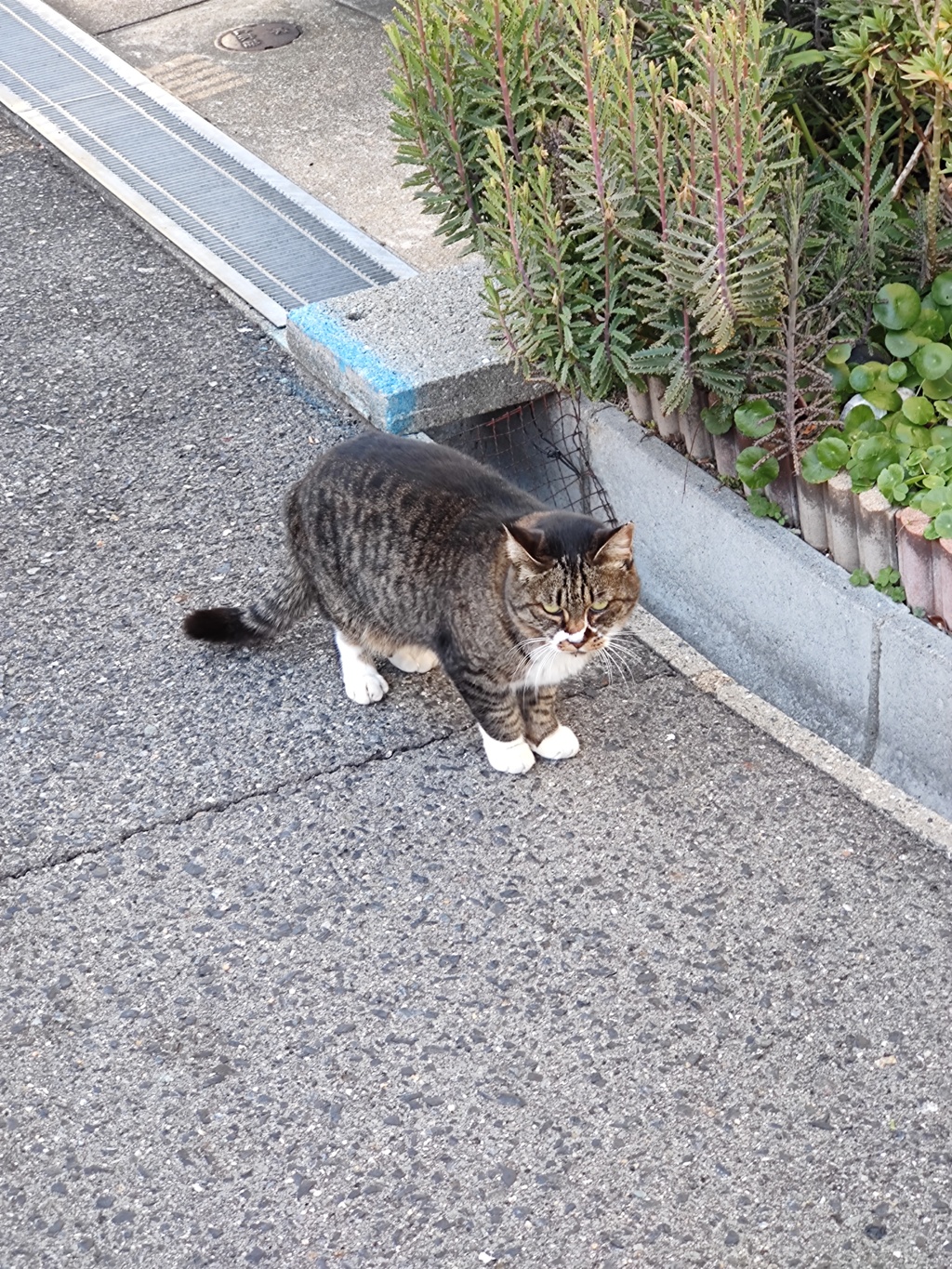 「道すがら」（2）♪