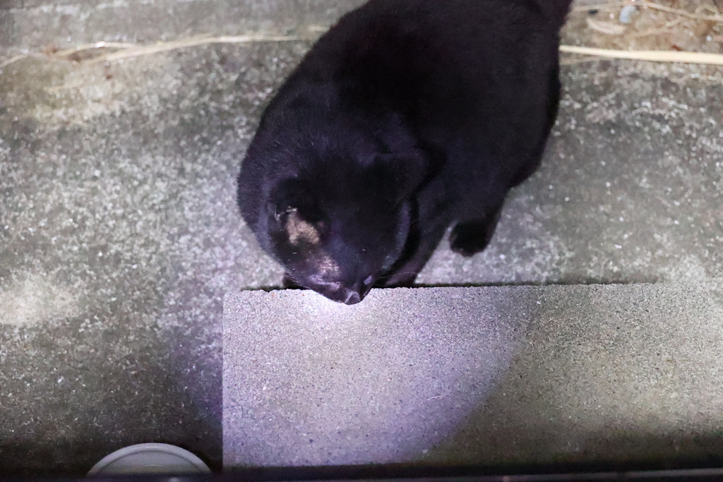 暗闇のなか♪