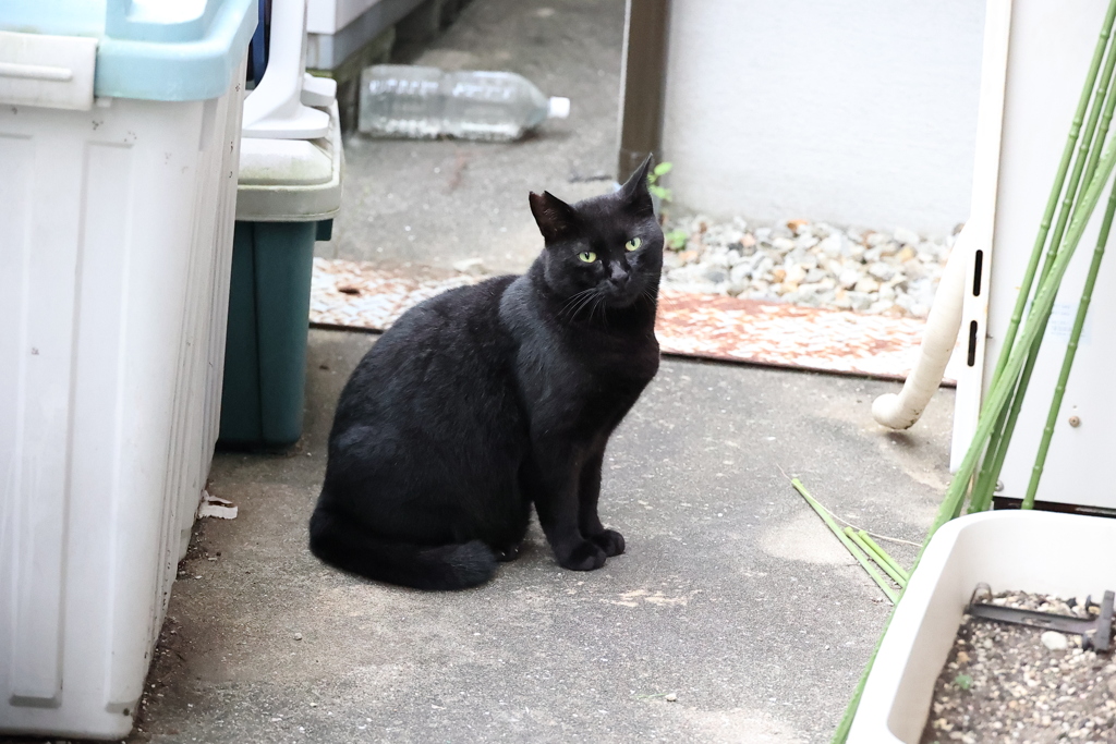 大遅刻の朝（続編）♪