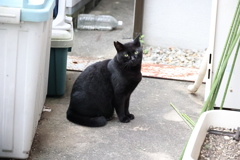 大遅刻の朝（続編）♪