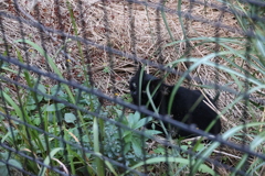 厳しい冷え込み♪