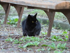 今年は、会えるかな♪