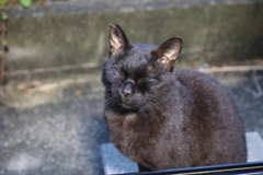 あくび前♪