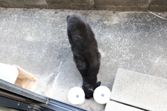 突っ込む♪