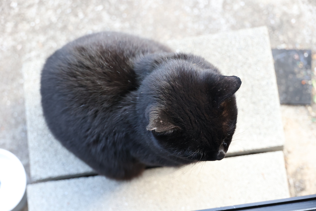ちょこんと座る♪
