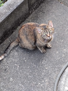 「少しだけ和らぐ」♪